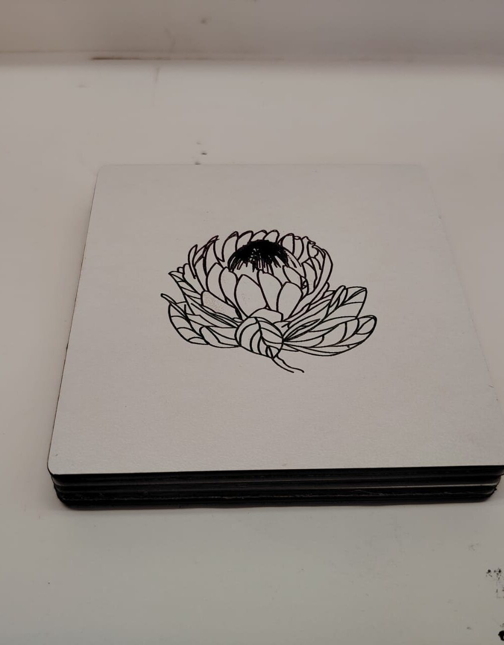 Protea Coasters