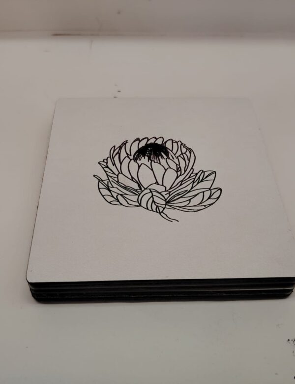 Protea Coasters